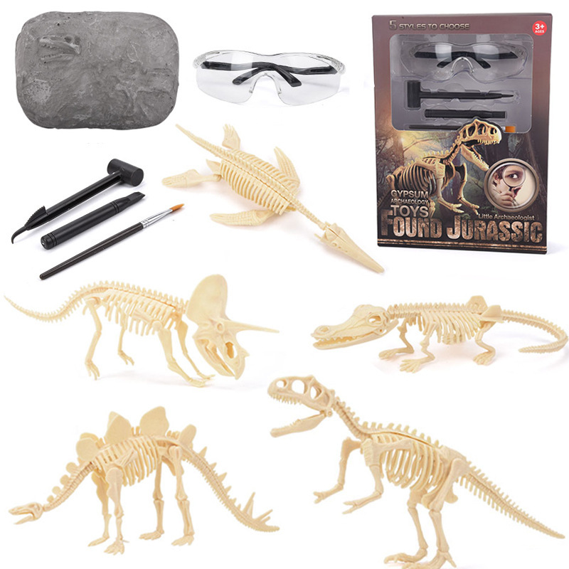 Science Toys - Kit d'excavation de fossiles de dinosaures