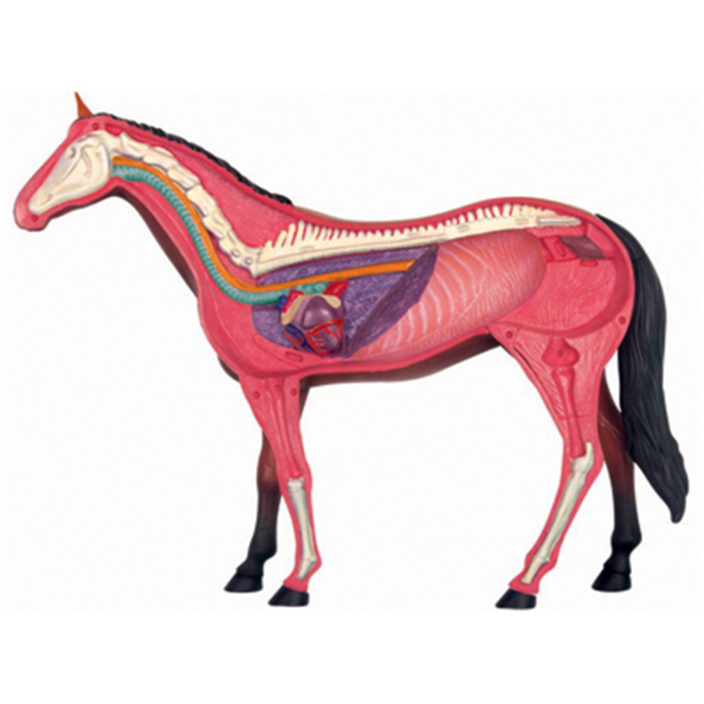 Jouet d'assemblage d'intellige - Science Toys avis et prix