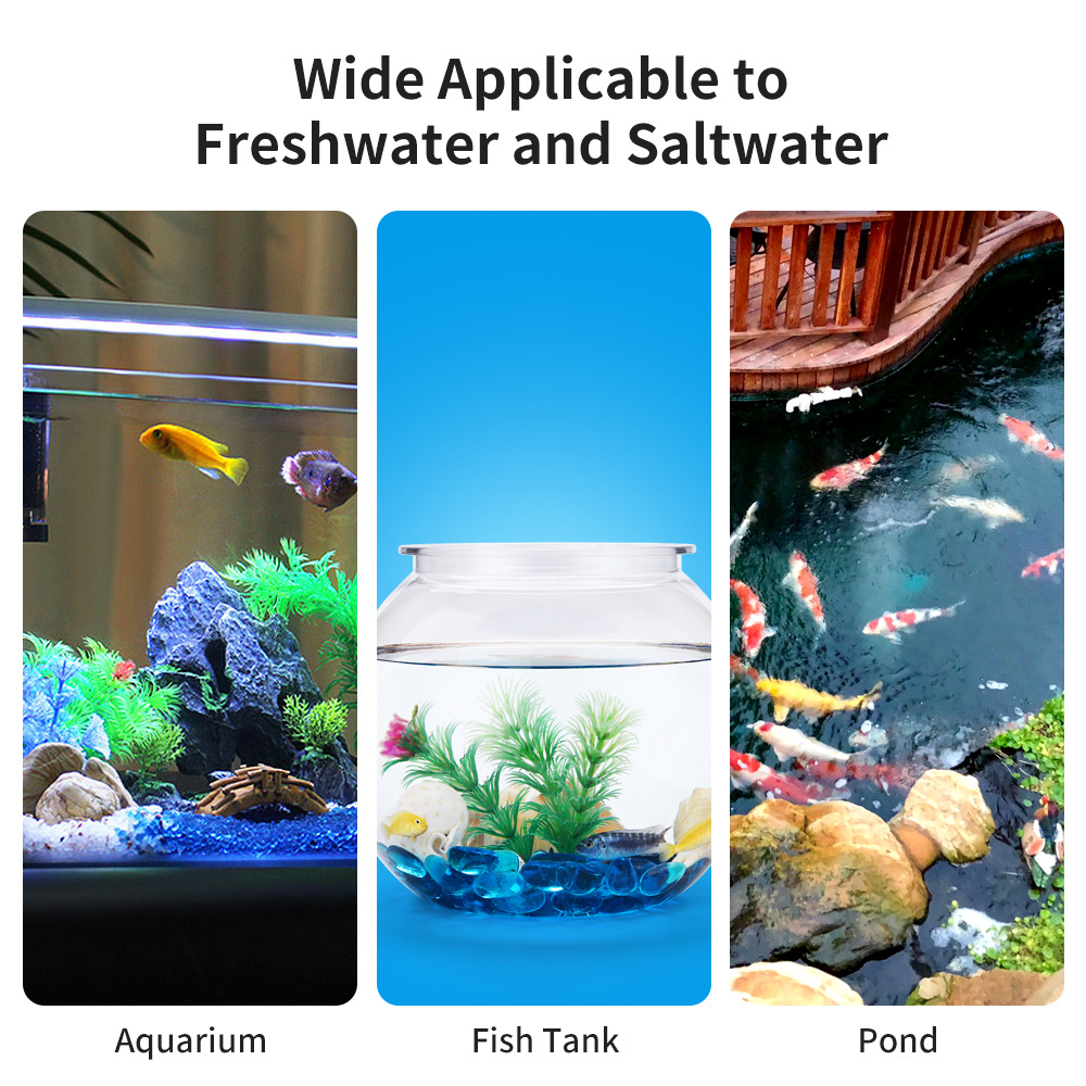 Bandelettes de Test de Qualité - Water Testing Kit avis et prix