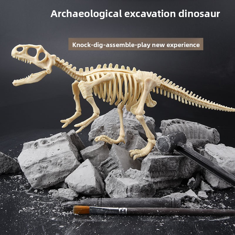 Kit d'excavation de fossiles d - Science Toys avis et prix