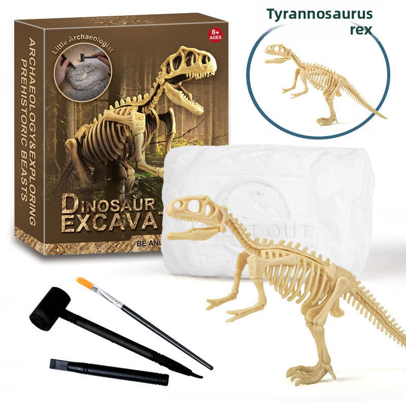 Kit d'excavation de fossiles d - Science Toys avis et prix