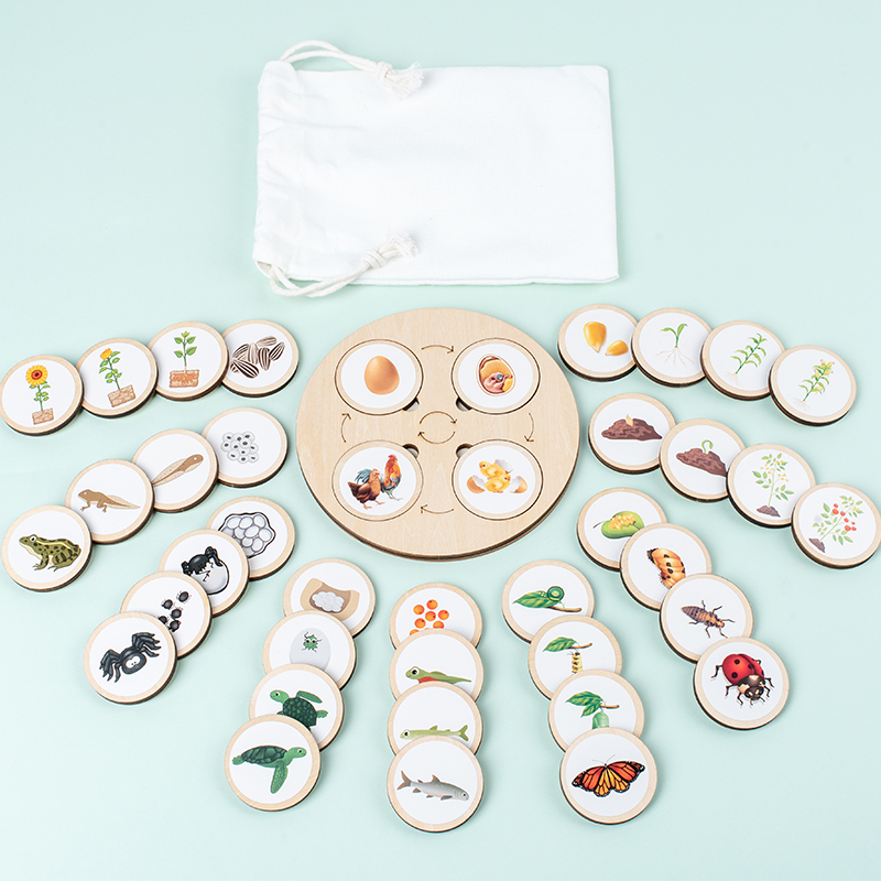 Planche de Cycle de vie Montes - Science Nature avis et prix