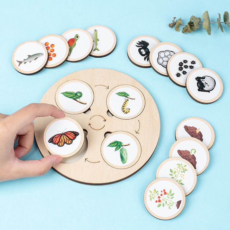 Planche de Cycle de vie Montes - Science Nature avis et prix